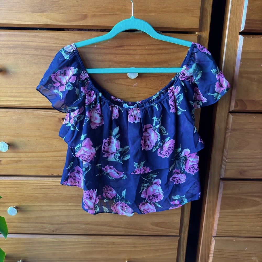 Lucy Paris Blue and Pink Ruffled Crop Blouse